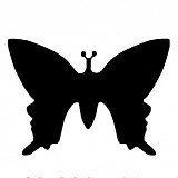 Raznice - Motýlek 1,5 cm
