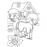 Obrázek pro děti B/D 27 - dvě ovečky