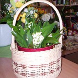 Košík lze využít jako ozdobný květináč