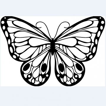 Šablona Motýl 10x15cm