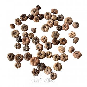 Bobule gaya přírodní malé 15 g