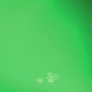 Mechová guma 30 x 40 cm zelená