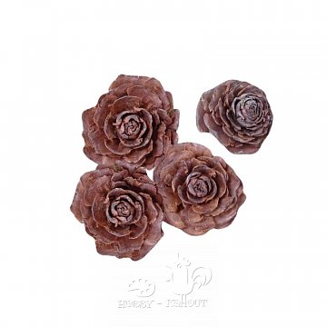 Cedar loose růže natur - 4 ks v sáčku