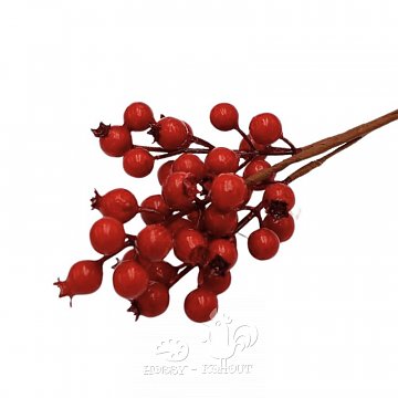 Dekorace - bobule červené, šípky 34 cm