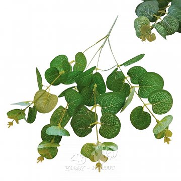 Eukalyptus x 4 větvička 60 cm