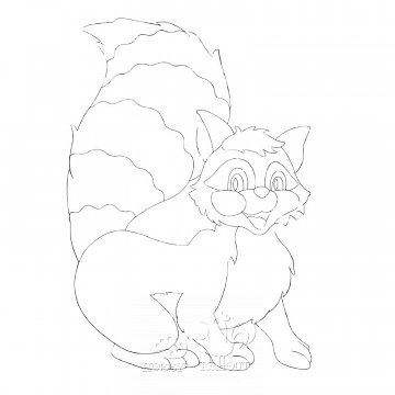 Obrázek pro děti B/D 8 - Mýval