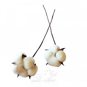 Bavlník květ větvička 28 cm - 1 ks