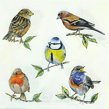 Ubrousek na decoupage - vzor 4452  ptáčci