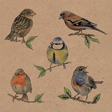 Ubrousek na decoupage - vzor 4403 ptáčci nature eco