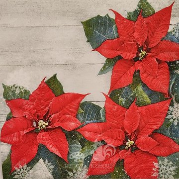 Ubrousek na decoupage - vzor 3413 vánoční růže květy