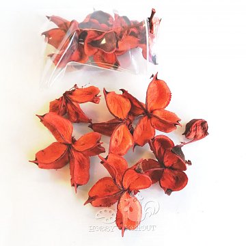 Bavlník květy oranžové - sáček 10 g