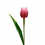 Dekorace - tulipán 40 cm růžový
