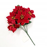 Vánoční růže červená samet, pugét 5 květů