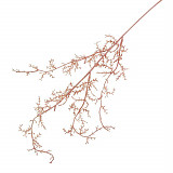 Dekorace - větvička 40 cm starorůžová