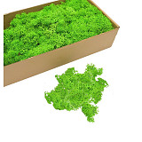 Mech zelený islandský 50 g