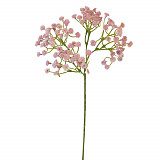 Dekorace - gypsophila růžová 60 cm