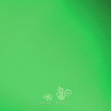 Mechová guma 30 x 40 cm zelená