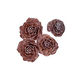 Cedar loose růže natur - 4 ks v sáčku