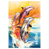 Blok A5 náčrtník tónovaný 40 listů / 80 g delfín