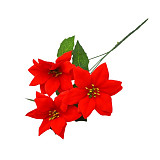 Vánoční růže červená, pugét 3 květy