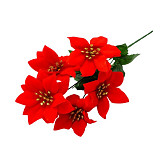 Vánoční růže červená, pugét 5 květů