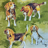 Ubrousek na decoupage - vzor 3906 pejsek bígl