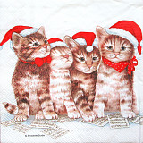 Ubrousek na decoupage - vzor 4051 čtyři kočky vánoce