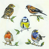 Ubrousek na decoupage - vzor 4452  ptáčci