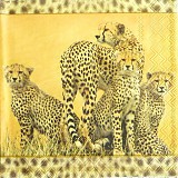 Ubrousek na decoupage - vzor 4501 Afrika gepardi