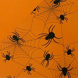 A4 Fotokarton pavouci