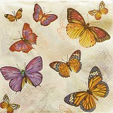 Ubrousek na decoupage - vzor 2102 motýlci