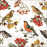 Ubrousek na decoupage - vzor 4401 ptáci, jeřabiny, podzim