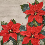 Ubrousek na decoupage - vzor 3413 vánoční růže květy