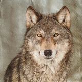 Ubrousek na decoupage - vzor 2660 vlk