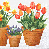 Ubrousek na decoupage - vzor 1208 tulipán, narcis
