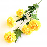 Chryzantéma 5 květů 59 cm - žlutá