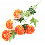 Chryzantéma 5 květů 59 cm - oranžová, poslední 1 ks