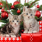 Ubrousek na decoupage - vzor 4054 kočky vánoce