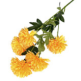 Chryzantéma 5 květů 58 cm - oranžová