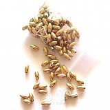 Perličky oválné - rýže 6x3 mm zlatá 10 g